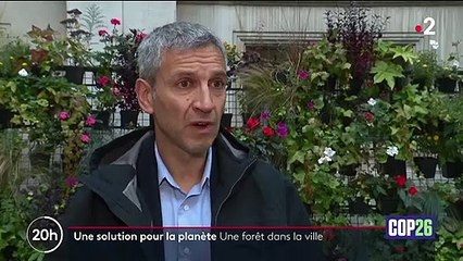 "Une solution pour la planète" : les forêts urbaines, outil essentiel pour rafraîchir les villes