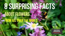 8 Surprising Facts About Flowers From All Over The World | NafiraMadiun