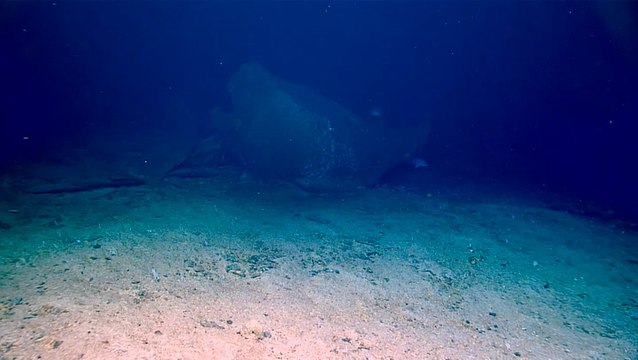Scientists discover decades-old tanker wreck on the ocean floor