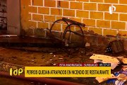 Surquillo: perros quedan atrapados en incendio de restaurante