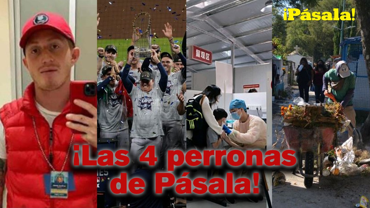 ¡AQUI ESTÁN LAS 4 PERRONAS DE PÁSALA!