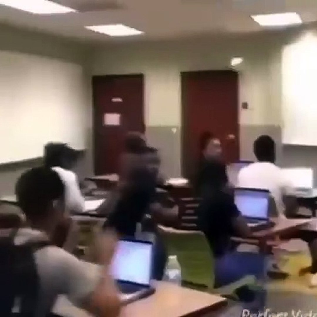 Funny videos new videos