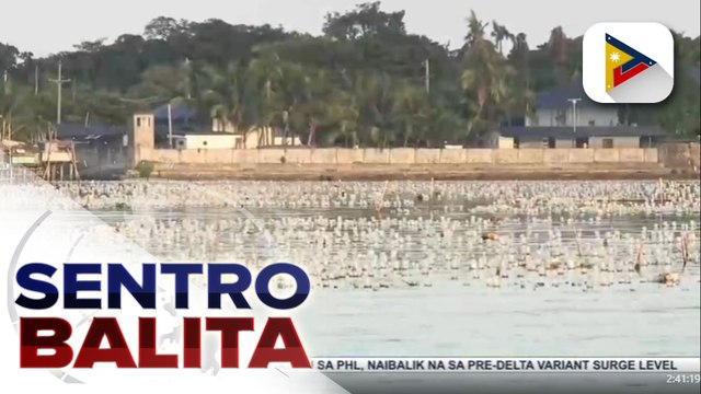Mga ilegal na sapra o fish traps sa bahagi ng Manila Bay na sakop ng Cavite, binaklas ng Manila Bay Inter-Agency Task Force