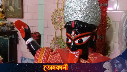 ২৫০ বছরের পুরানো এই সিদ্ধেস্বরী ডোমকালী রয়েছে কুমোরটুলিতে | Oneindia Bengali