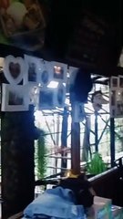 Kangen Cafe on The Top of  Nongkojajar Mountain