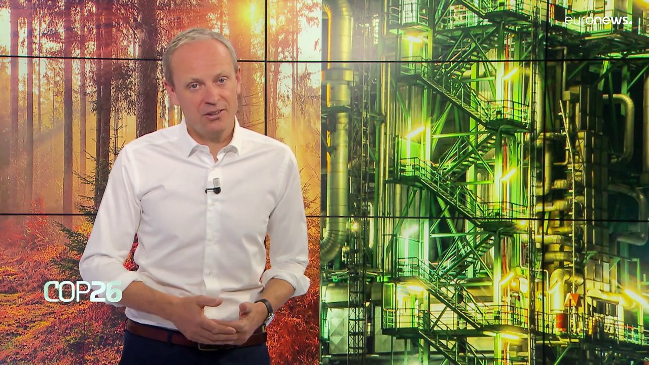 Kurz erklärt: Baum oder Maschine, wer saugt mehr CO2 aus der Atmosphäre?