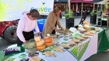 Países Bajos: cómo luchar contra el cambio climático sin dañar la industria agroalimentaria