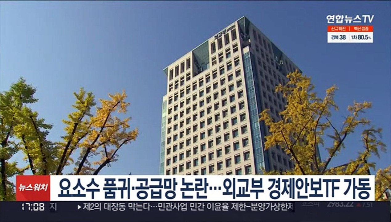 요소수 품귀·공급망 논란…외교부 '경제안보 TF' 가동