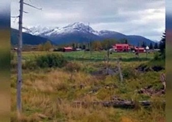 Hırsız sandılar bakın ne çıktı! Hayatlarının şokunu yaşadılar