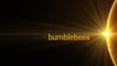 ABBA - Bumblebee