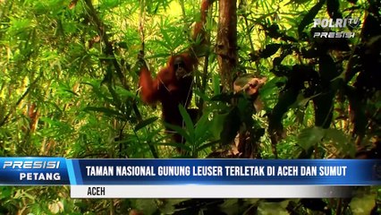 Melihat Keindahan Taman Nasional Gunung Lauser