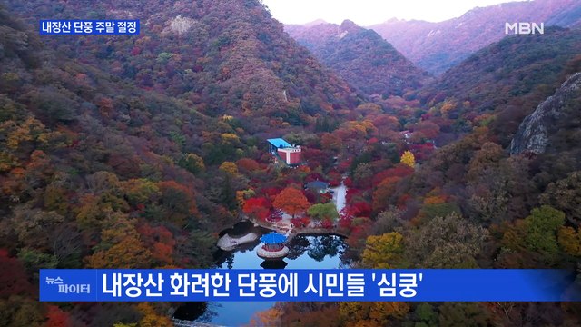 MBN 뉴스파이터-내장산 단풍 절정·내 차에만 내리는 비·거액 주고 사라진 할머니