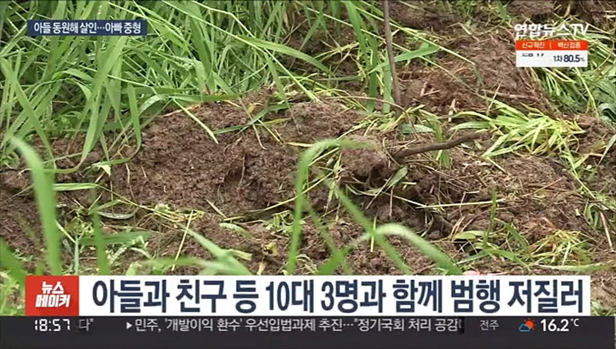 아들과 친구들 동원해 채무자 살해한 50대 징역 25년