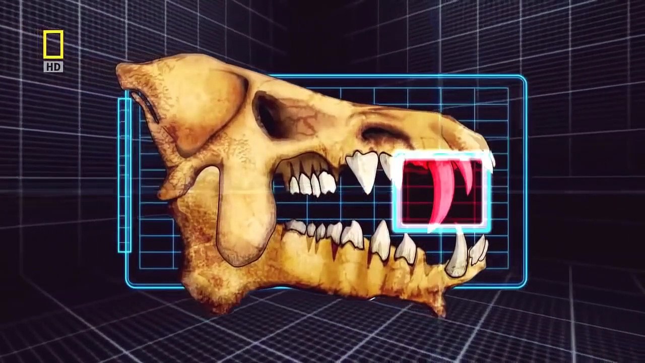 National geographic Documentary - Prehistoric predators - Wildlife Animals