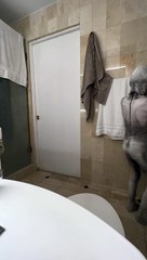 Mom Startled by Bathroom Alien Prank