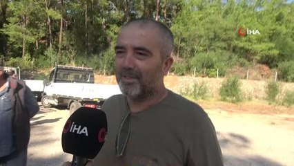 Marmaris'te arıcılara yem desteği