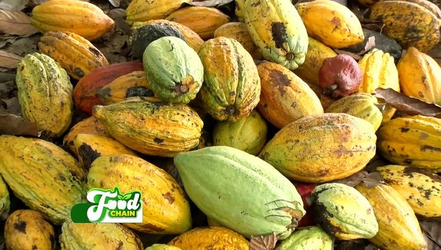 The Role of Fairtrade in Agriculture: The Gaase Story– Food Chain on Joy Business (4-11-21)