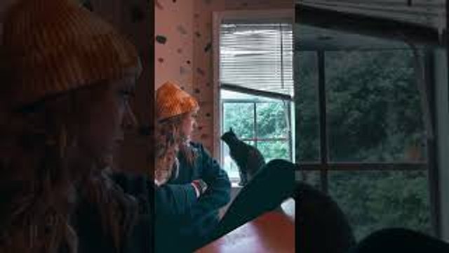 Cat Bonks Head on Window Sill