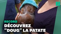 Ce couple néo-zélandais a-t-il découvert la plus grosse patate du monde?