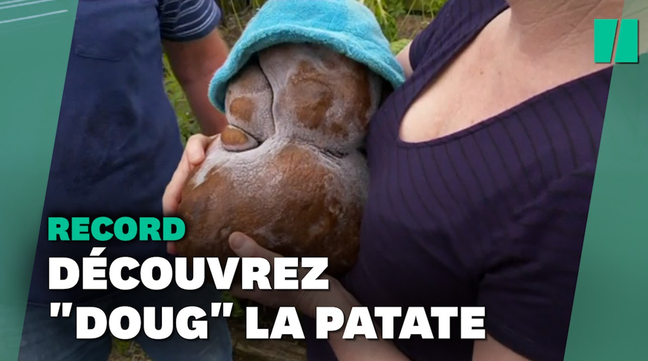Ce couple néo-zélandais a-t-il découvert la plus grosse patate du monde?