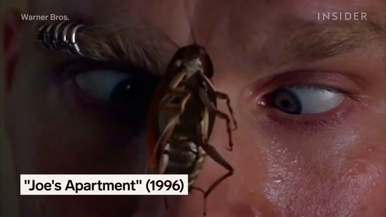 How realistic CG talking animals are created for movies at the pioneering visual effects studio Weta Digital