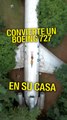 Convierte un Boeing 727 en su casa