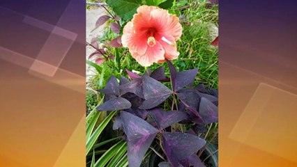 01: Morning News Brief: 19 August, 2021