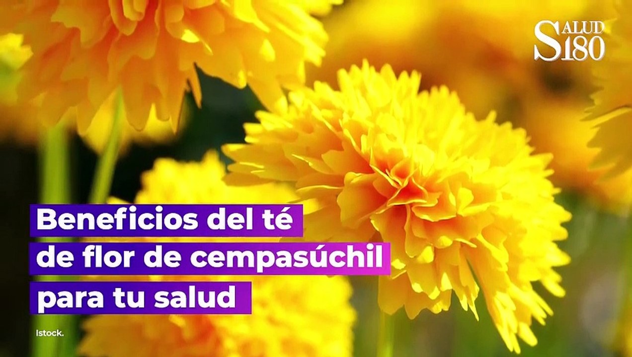 Beneficios del té de flor de cempasúchil para tu salud | Salud180