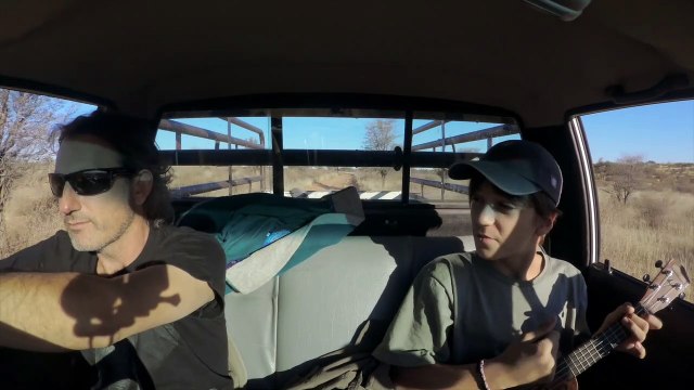 Panteras - Tráiler oficial