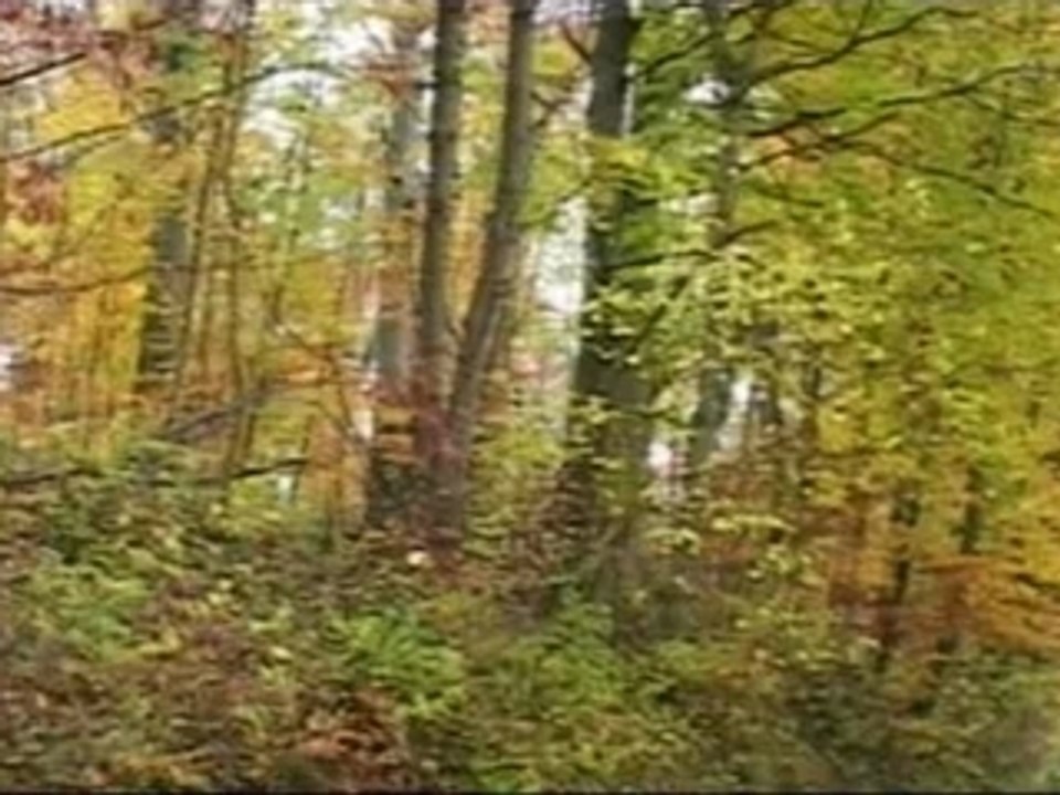 Tchernobyl