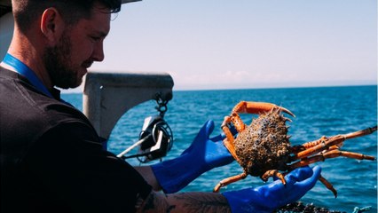 Brexit : la France brandit l’arme de l’énergie face au Royaume-Uni sur la pêche