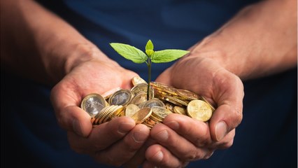 Voici les placements les plus sûrs pour commencer à épargner