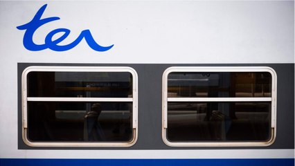 SNCF : un retraité verbalisé alors qu’il n’a pas pu acheter son billet