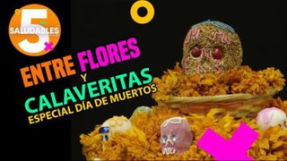 Entre flores y calaveritas: Especial Día de Muertos | Salud 180