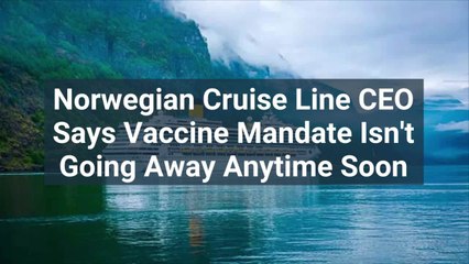 Norwegian Cruise Line CEO Says Vaccine Mandate Isn't Going Away Anytime Soon