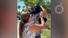 CES ANIMAUX ONT RETROUVÉ LEURS PROPRIÉTAIRES APRÈS DES ANNÉES