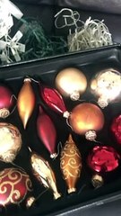 Close Call with Baby Rattlesnake Found in Christmas Decorations