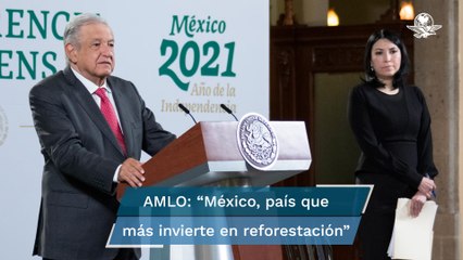 "México es el país que más invierte en reforestación": AMLO ante críticas sobre cambio climático