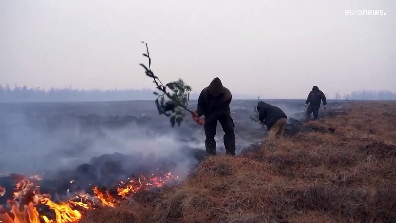 Tundra in Russland: Mit Sand und Zweigen gegen brennendes Gras