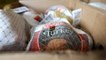 Got Turkey? Nashville Rescue Mission Seeks 1,000 Thanksgiving Turkeys to Help Feed the Hungry