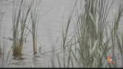 Supreme Court Rules In Favor Of Agua Caliente Tribe's Water Rights