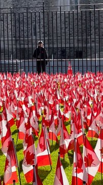 Lest We Forget: A Tribute Of 12K Flags