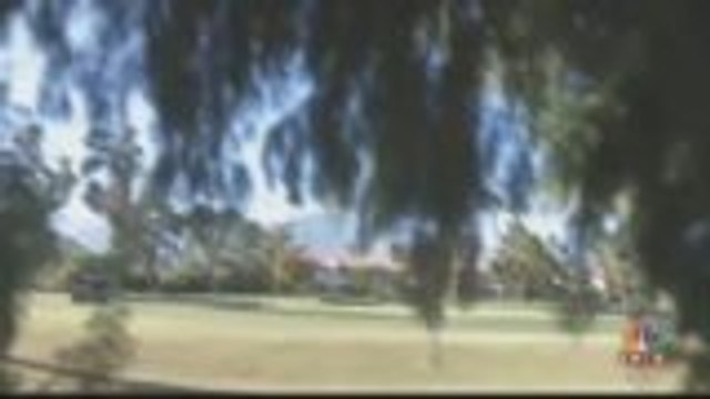 Palm Springs Plans On Removing Controversial Trees