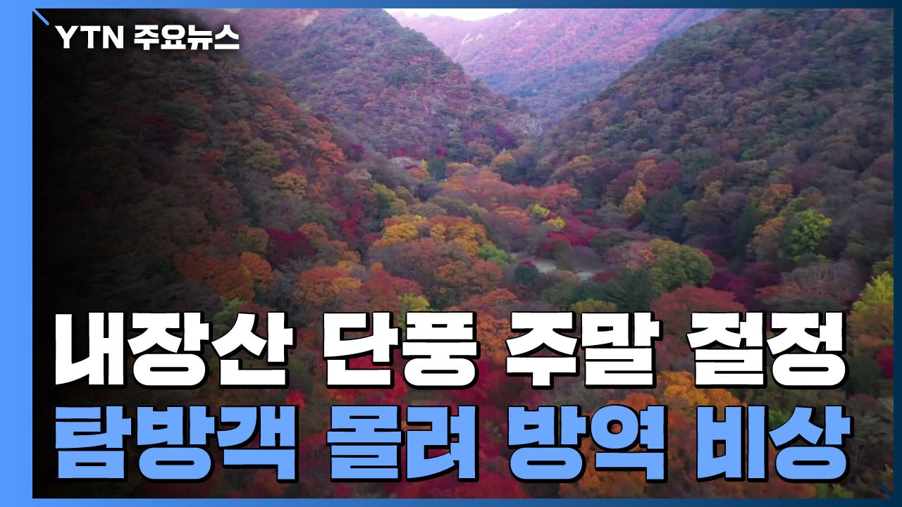내장산 단풍 이번 주말 절정...탐방객 몰려 방역 '비상' / YTN