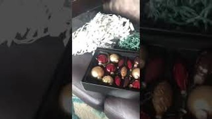 Close Call with Baby Rattlesnake Found in Christmas Decorations