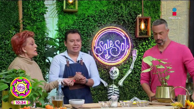 Cómo controlar plagas sin dañar tus plantas