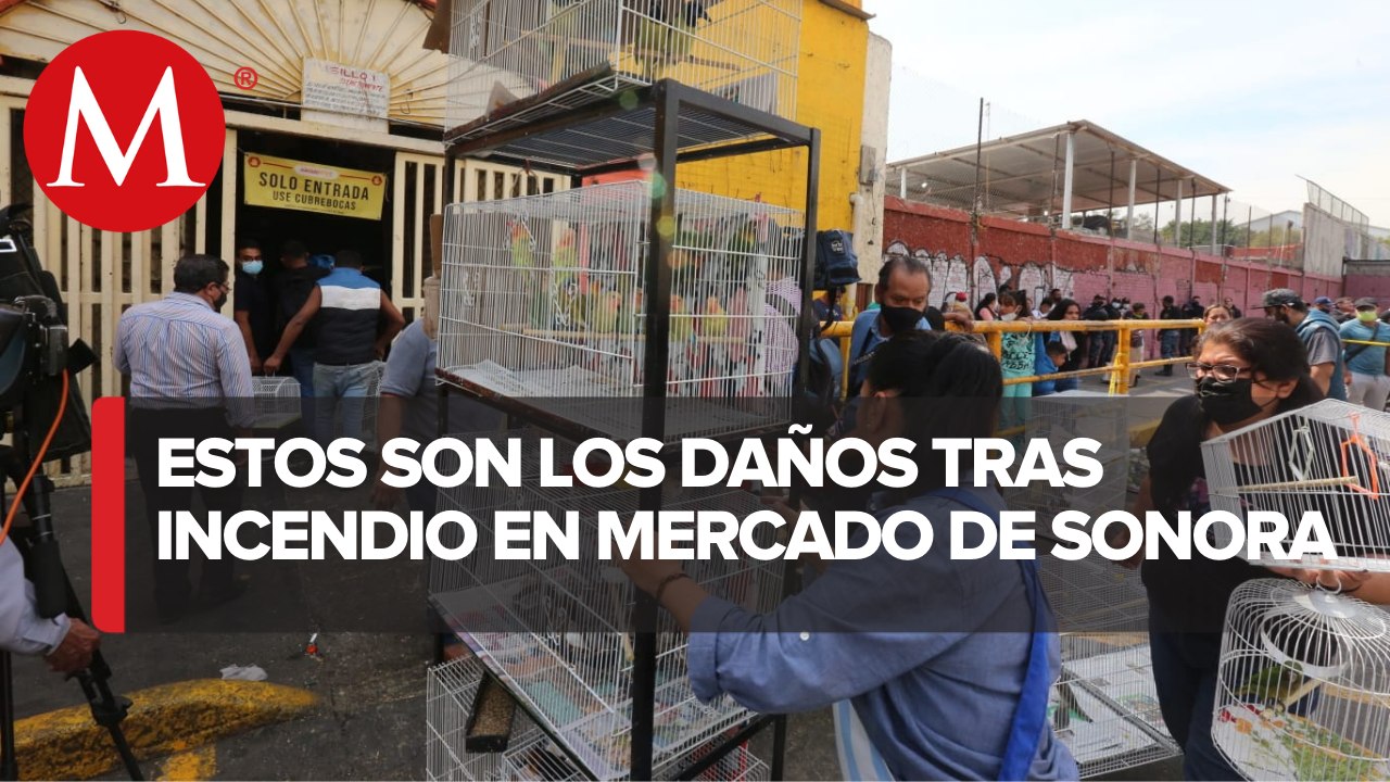 Mercado de Sonora, en condiciones de seguir ope...