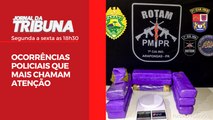 OCORRÊNCIAS POLICIAIS QUE MAIS CHAMAM ATENÇÃO (04/11)