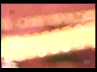 Keshou sakurada junko