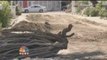 Palm Springs Residents Clean Up After Flash Flood